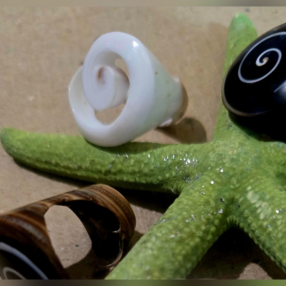 Shell Rings- Handmade From REAL Seashells - Picture 2 of 5
